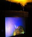 Strange things on TV